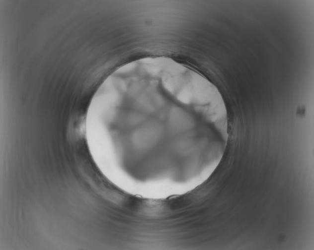 X0000115170095200911251343