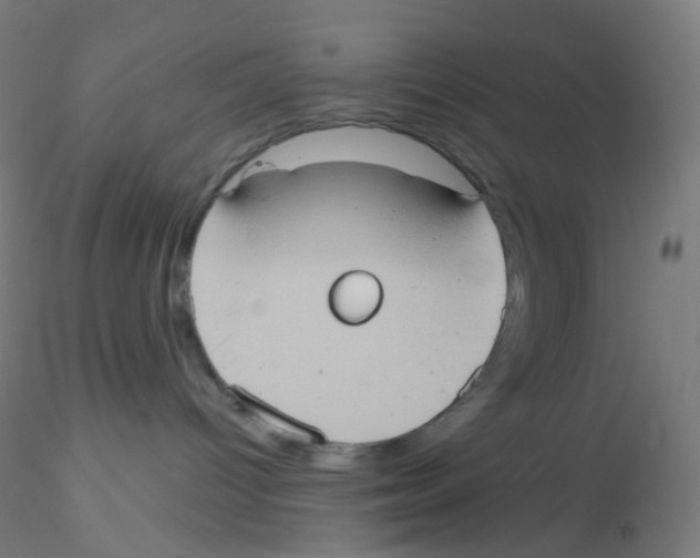 X0000115170096200911251343