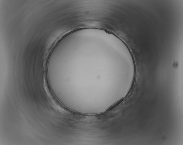 X0000115170097200911251343