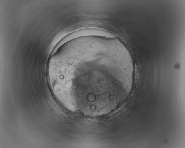 X0000115170099200911251343