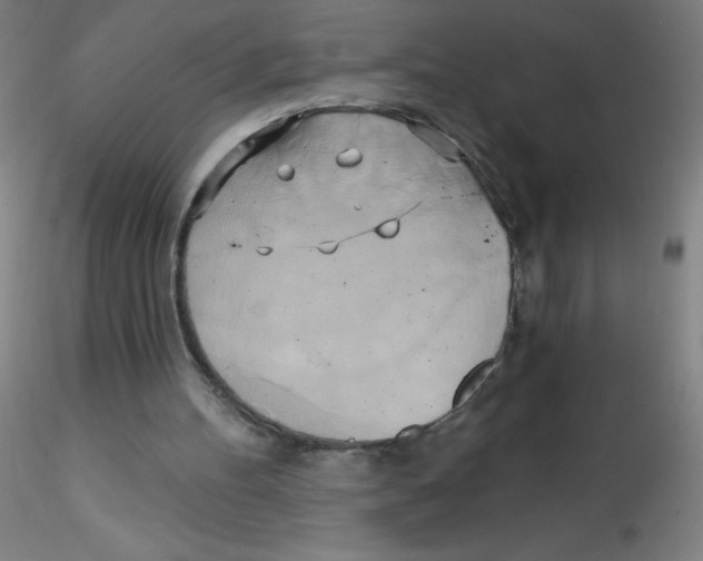 X0000115170100200911251343