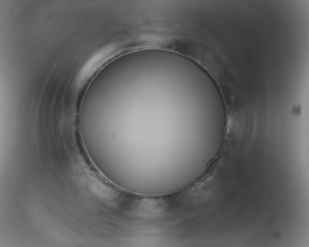 X0000115170101200911251343