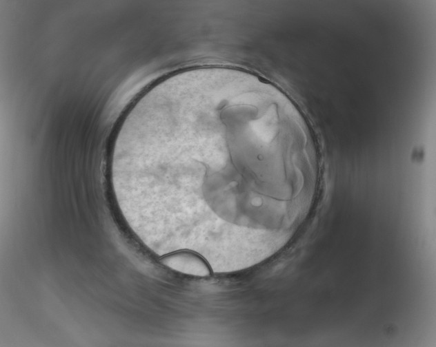 X0000115170103200911251343