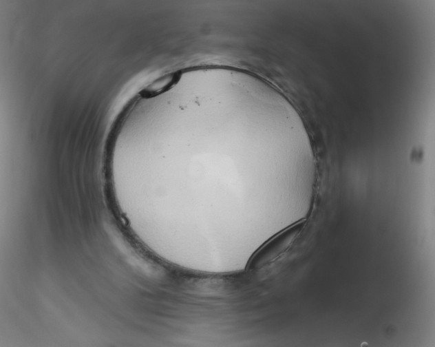 X0000115170104200911251343