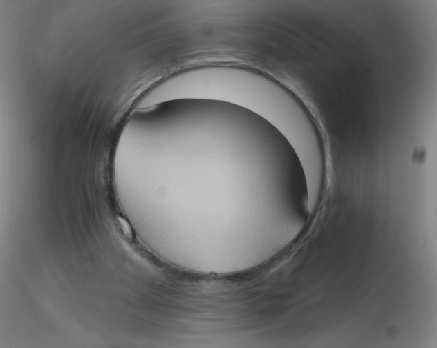 X0000115170105200911251343