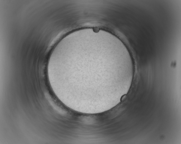 X0000115170106200911251343