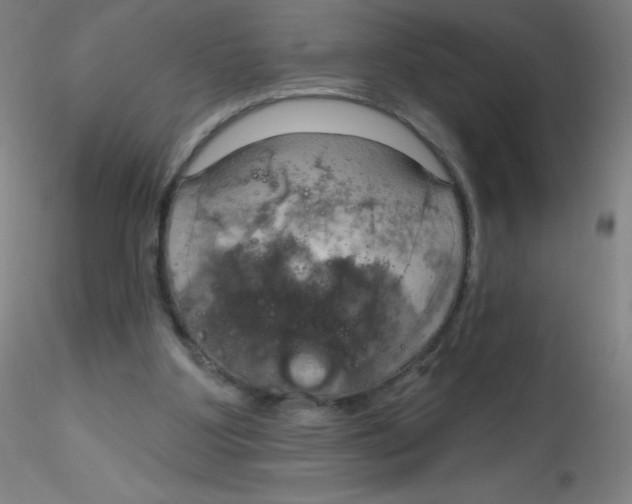 X0000115170107200911251343