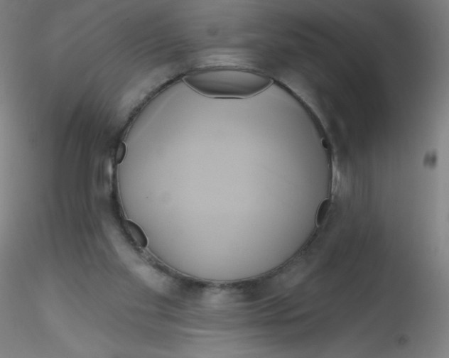 X0000115170109200911251343