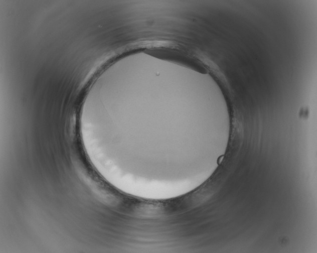 X0000115170110200911251343