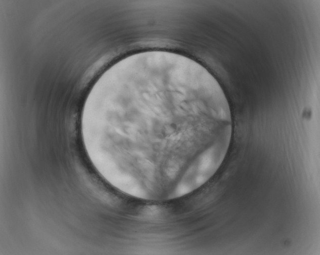 X0000115170111200911251343