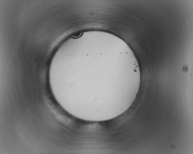 X0000115170112200911251343