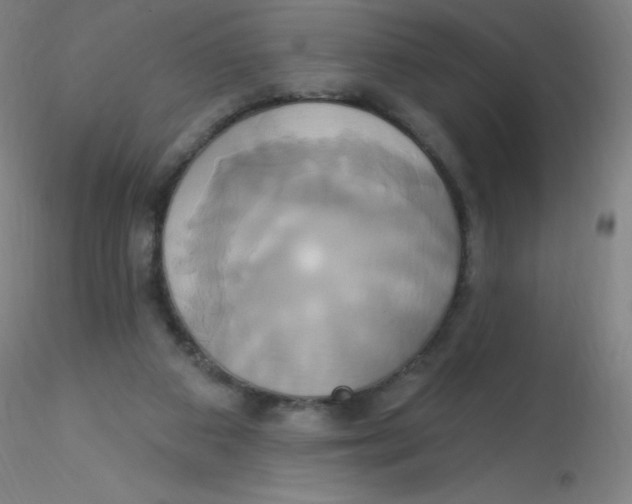 X0000115170113200911251343