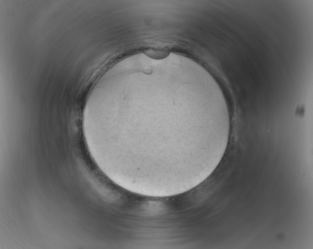 X0000115170114200911251343