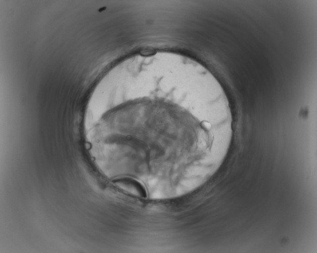 X0000115170115200911251343