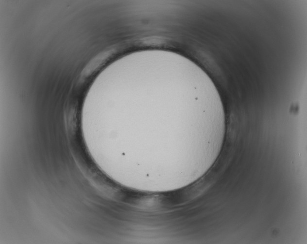 X0000115170116200911251342