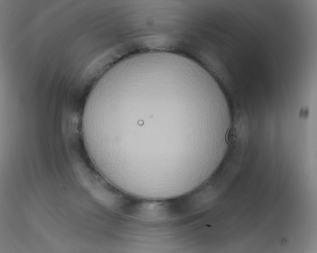 X0000115170117200911251342