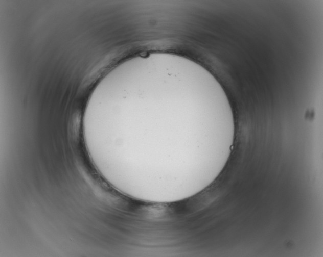 X0000115170118200911251342