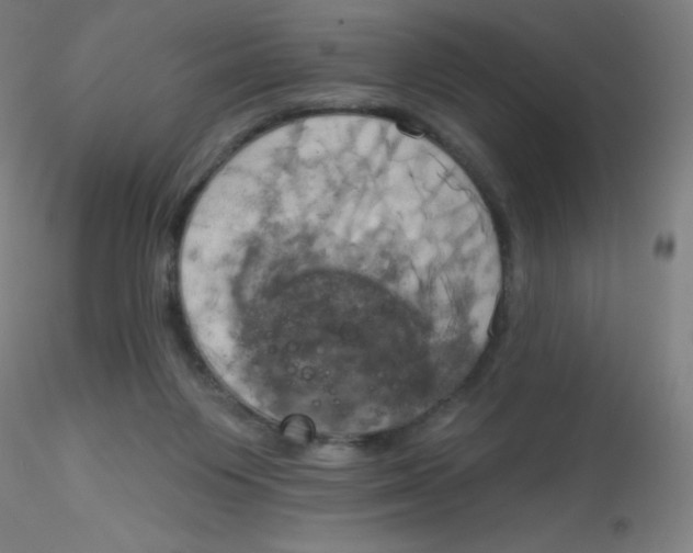 X0000115170119200911251342