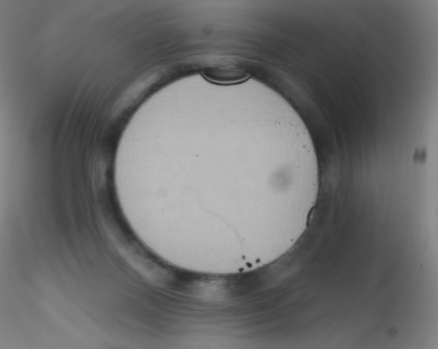 X0000115170120200911251342