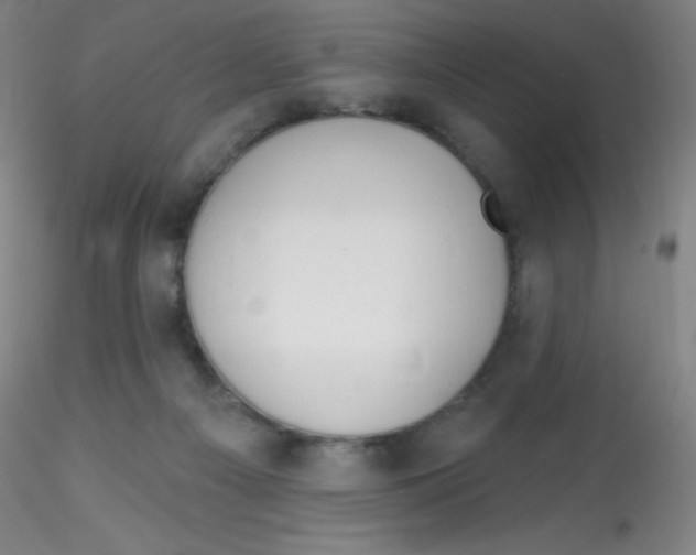 X0000115170121200911251342