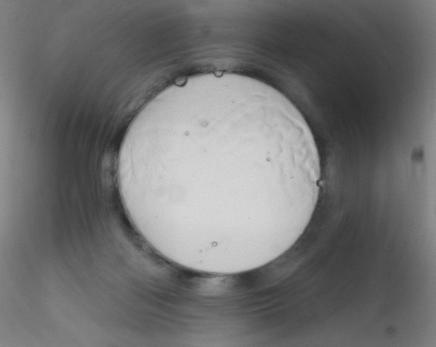 X0000115170122200911251342