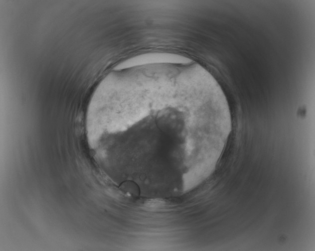 X0000115170123200911251342