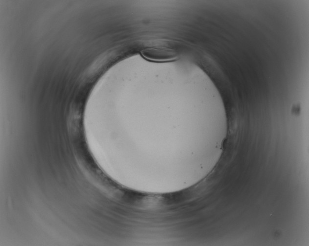 X0000115170124200911251342