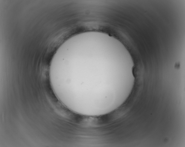 X0000115170125200911251342