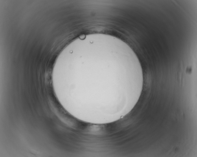 X0000115170126200911251342