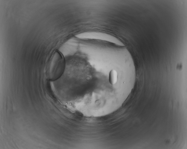 X0000115170127200911251342