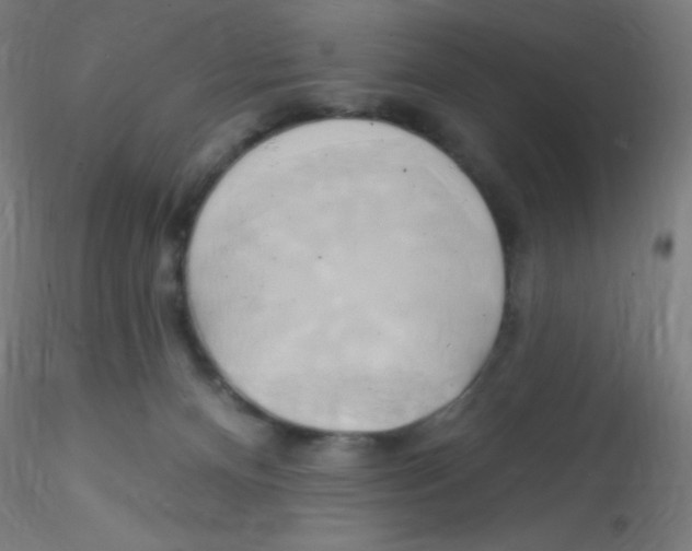 X0000115170128200911251342