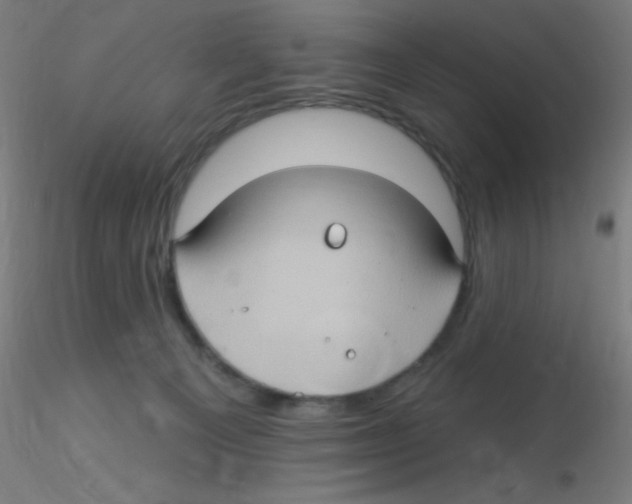 X0000115170129200911251342