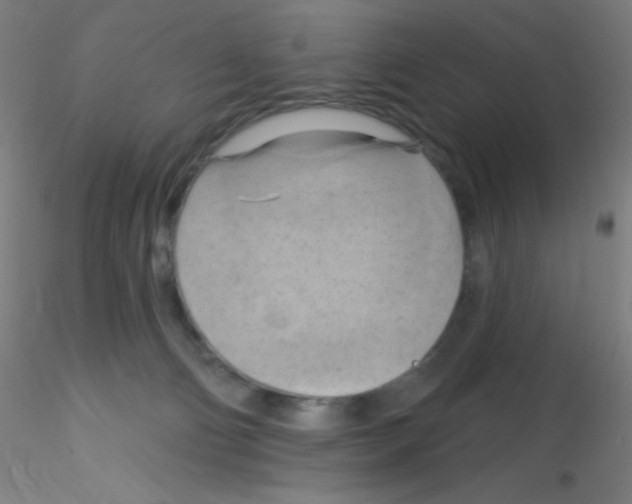 X0000115170130200911251342