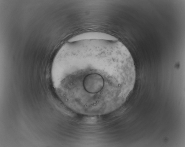 X0000115170131200911251342