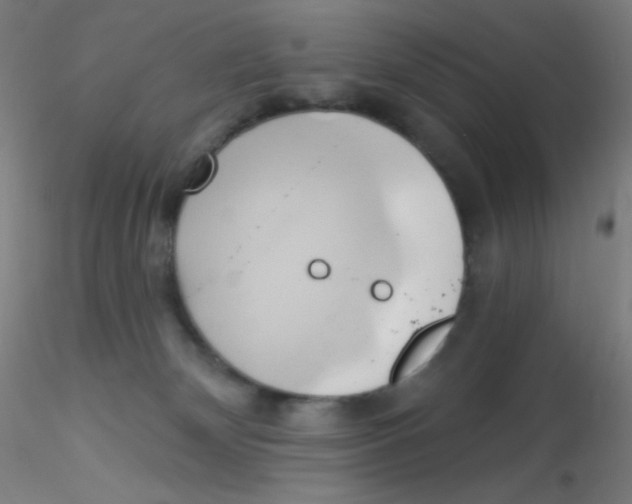 X0000115170132200911251342