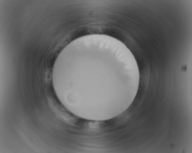 X0000115170134200911251342