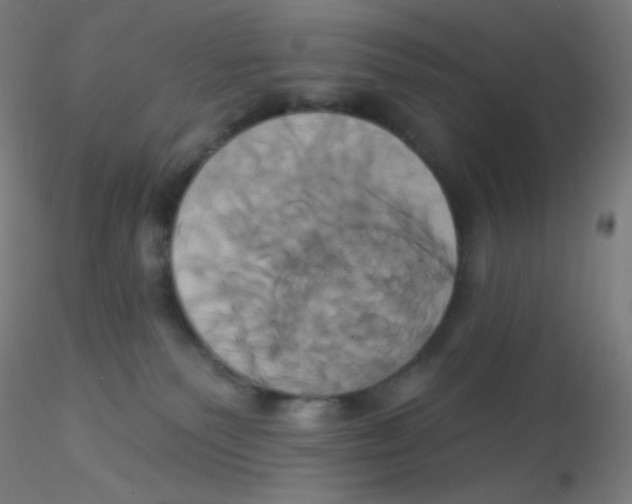 X0000115170135200911251342