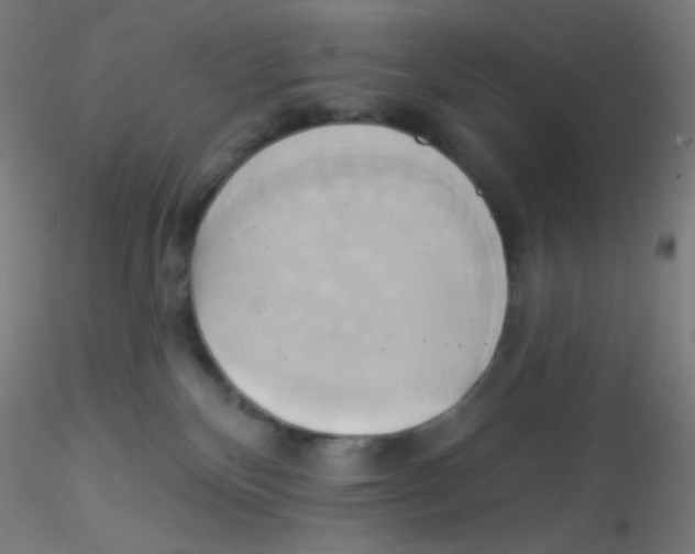 X0000115170136200911251342