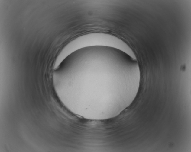 X0000115170137200911251342