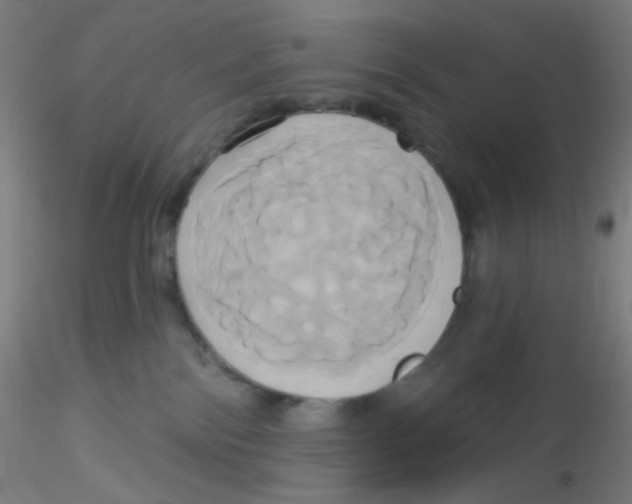 X0000115170138200911251342