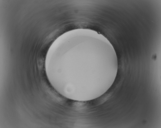 X0000115170139200911251342