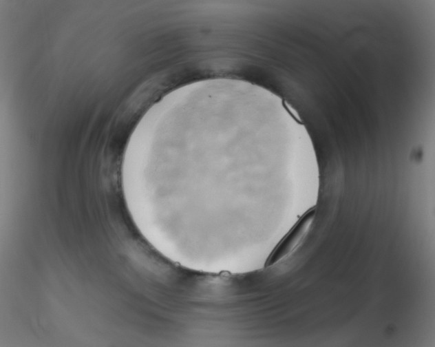 X0000115170140200911251342