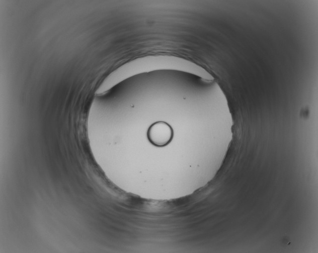 X0000115170141200911251342