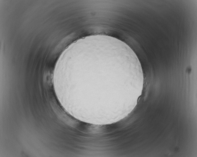 X0000115170142200911251342