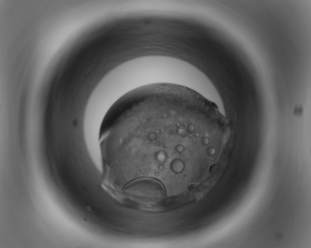 X0000115170143200911251342