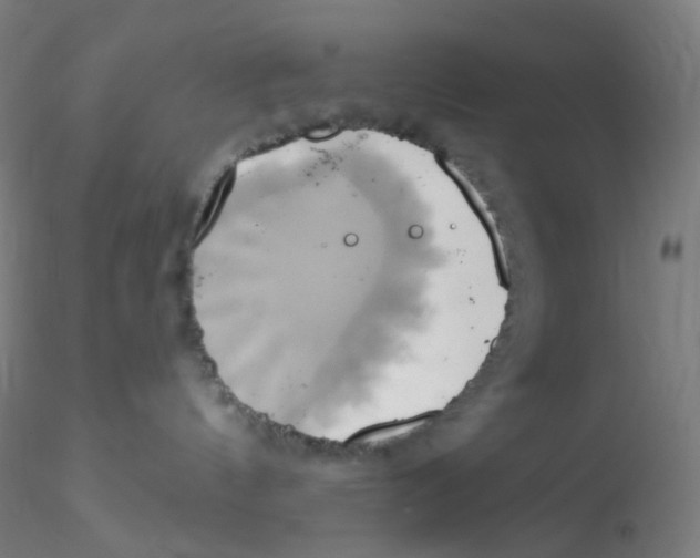 X0000115170144200911251342