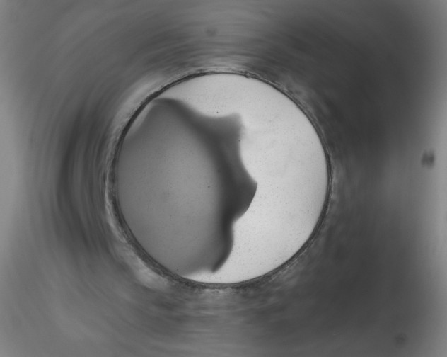 X0000115170145200911251341