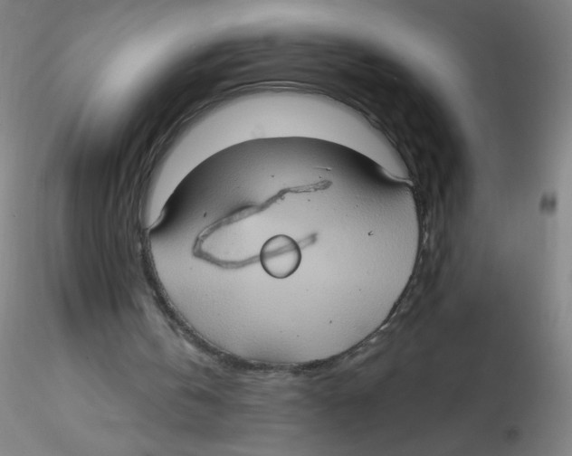 X0000115170146200911251341