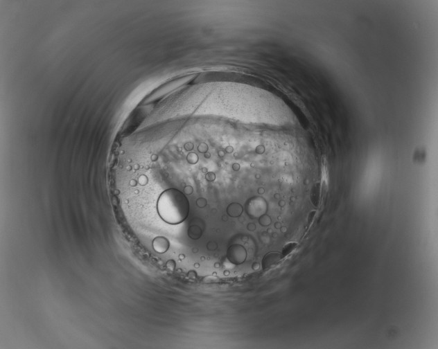 X0000115170147200911251341