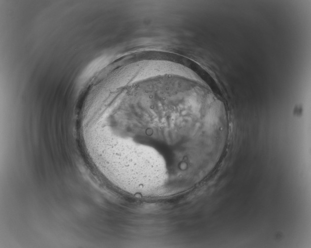 X0000115170149200911251342